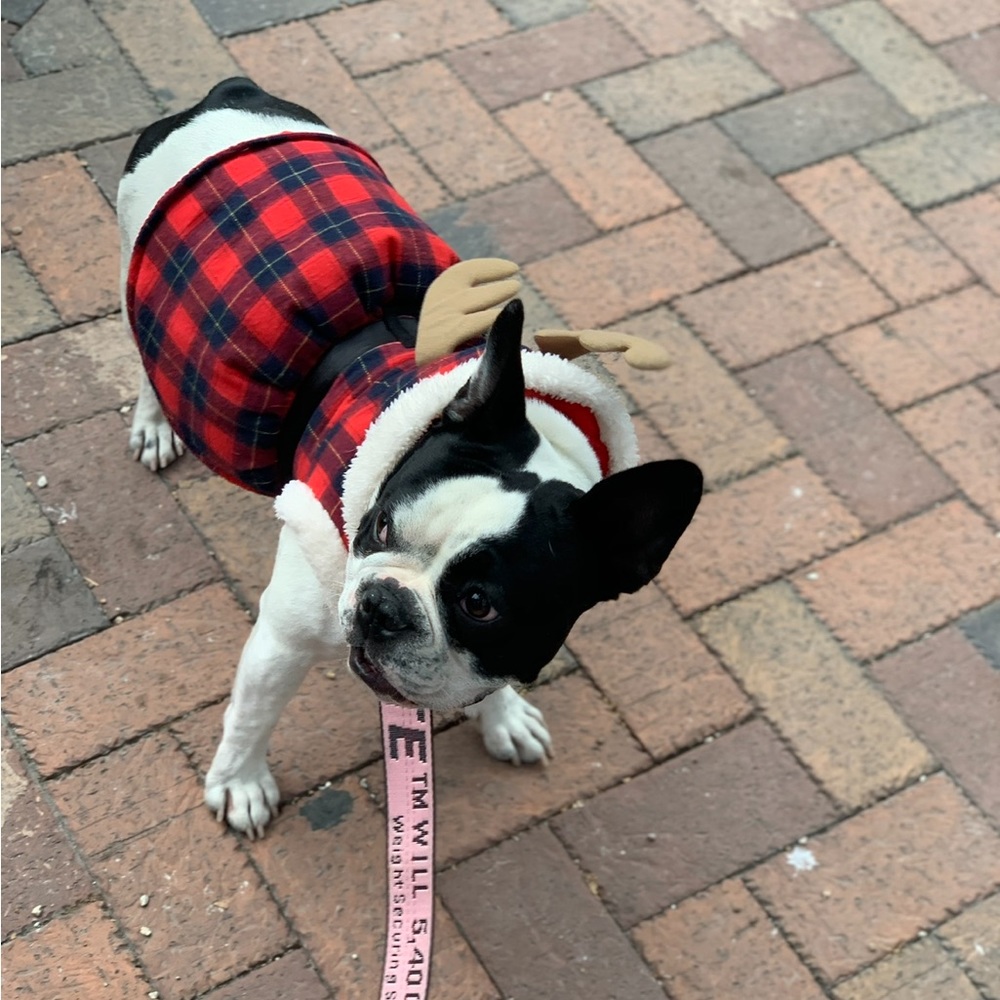 Christmas outfit